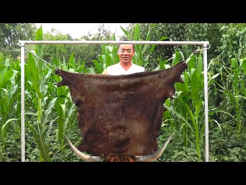 Видео: Взял большую шкуру яка и сделал говяжий студень, получилось так вкусно | Дядя сельский гурман