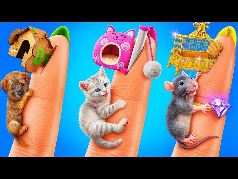 Видео: Секретные Комнаты Для Питомцев! 🐾 Преображение за $1 Против $1,000 Против $10,000