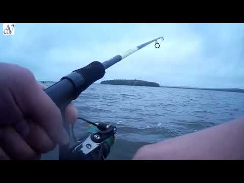 Видео: Осень в разгаре. На что ловлю? Пока на ....