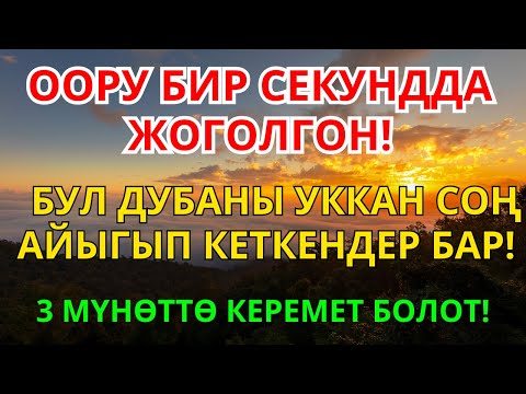 Видео: Пайгамбардын дубасы заматта ооруну жок кылып айыктырды |3 ✨