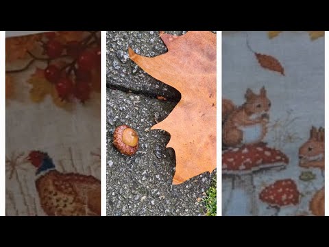 Видео: О вышивке и жизни 