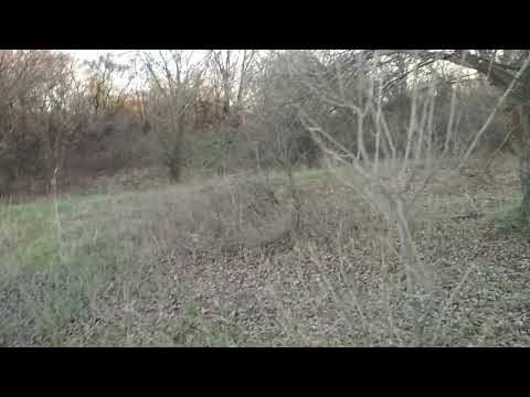 Видео: РГ Рожок 18 апреля 2019г..