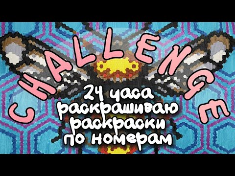 Видео: CHALLENGE 24 часа раскрашиваю раскраски по номерам