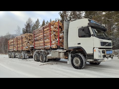 Видео: VOLVO лесовоз. Первый снег в лесу.