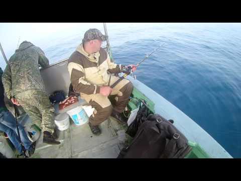 Видео: Камбала, крабы, бычки, огромные звезды и.т.д Полная версия.