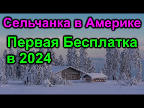 Видео: Сельчанка в Америке. Певая бесплатка в новом году