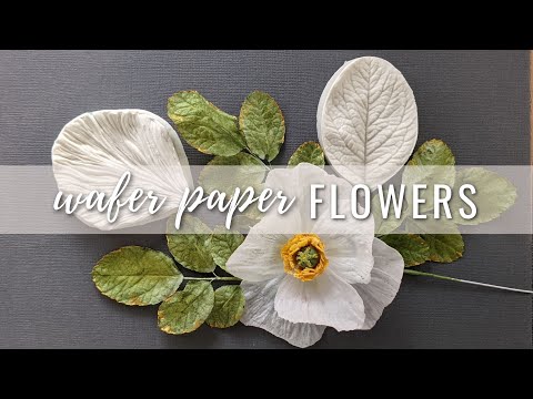 Видео: Как сделать лепестки для цветов из вафельной бумаги