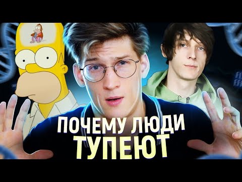 Видео: я/мы тупой