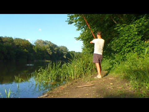 Видео: Самая УДАЧНАЯ рыбалка 2021 с ночёвкой. Ловля сазана на макушатник. Сом на медведку