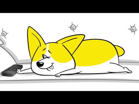 Видео: Билайн ТВ | Гид по ТВ-программе и просмотру