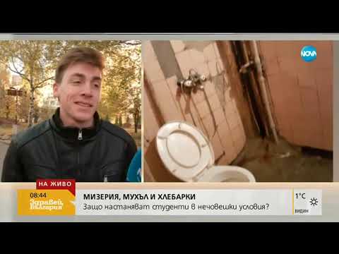 Видео: МИЗЕРИЯ, МУХЪЛ И ХЛЕБАРКИ: Защо настанават студенти в нечовешки условия (17.10.2018г.)