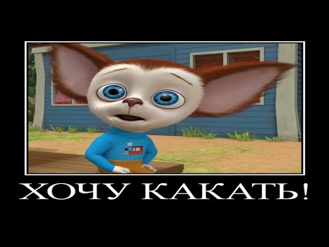 Видео: Муд Барбоскины демотиватор 10