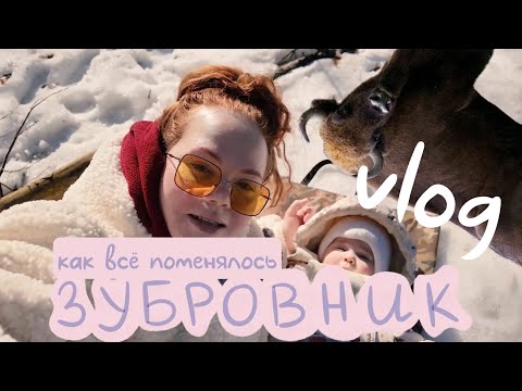 Видео: Зубровник Токсово, как все изменилось!Семейный vlog