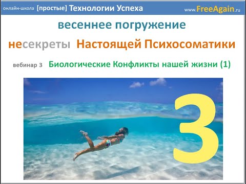 Видео: Егор Миронов Весеннее погружение 2019 Вебинар 3 28 марта запись