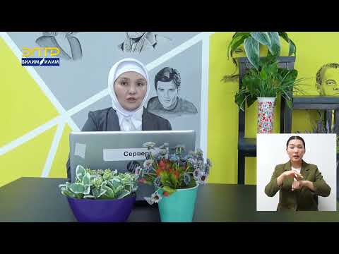 Видео: ДЕМ АЛУУ СИСТЕМАСЫ