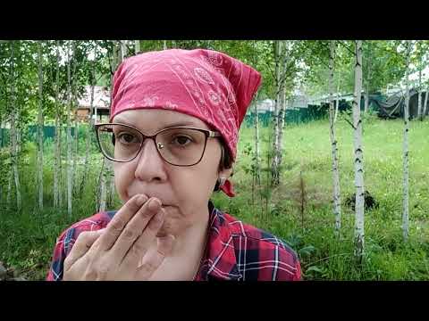 Видео: Как я  поднимаю  тромбоциты после химиотерапии #онкожизнь