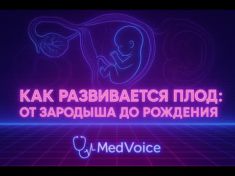 Видео: Как развивается плод: от зародыша до рождения | Всё о системах эмбриона