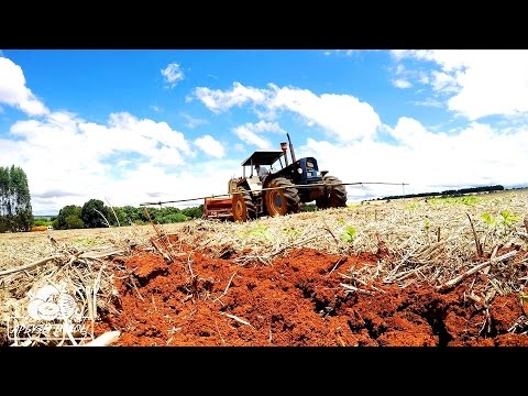 Видео: Посев арбуза по технологии No-till (Бразилия) 14 02 2017