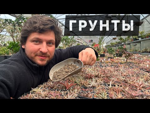 Видео: СУБСТРАТ ГРУНТ ДЛЯ КАКТУСОВ И СУККУЛЕНТОВ