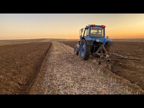 Видео: Оранка получилася як з картинки‼️Оранка на зиму МТЗ 80