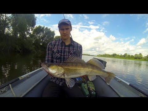 Видео: Ловля судака. Поиск судака в жару.