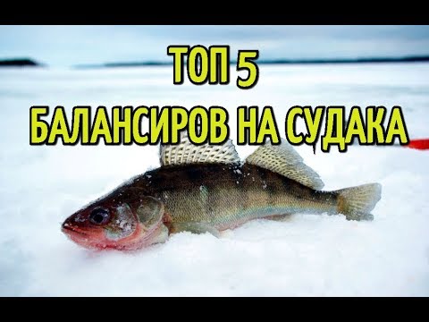 Видео: Лучшие балансиры для ловли СУДАКА. Топ 5 уловистых балансиров