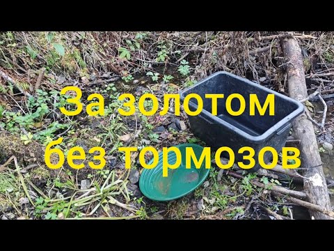 Видео: За золотом без Тормозов 