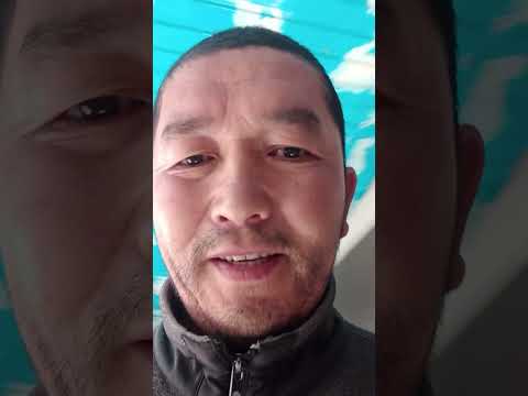 Видео: 16 октября 2025 г.