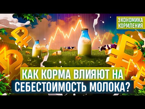 Видео: Как корма влияют на себестоимость молока ?