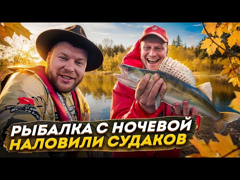 Видео: РЫБАЛКА С НОЧЁВКОЙ НАЛОВИЛИ СУДАКОВ