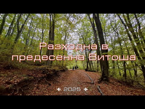 Видео: Кратка предесенна разходка на Витоша до Златните мостове