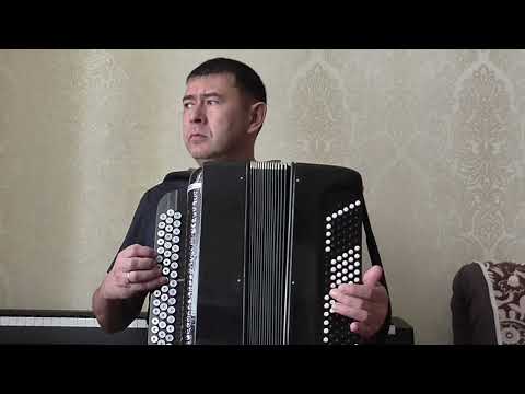 Видео: Разбор песни "Ах, Самара - городок" на баяне для начинающих