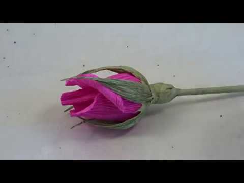 Видео: Бутон розы с конфеткой.