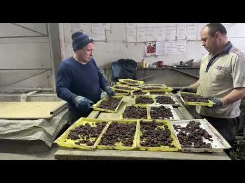 Видео: Изготовление фасадной плитки «Балканский камень» по технологии Мрамор из бетона