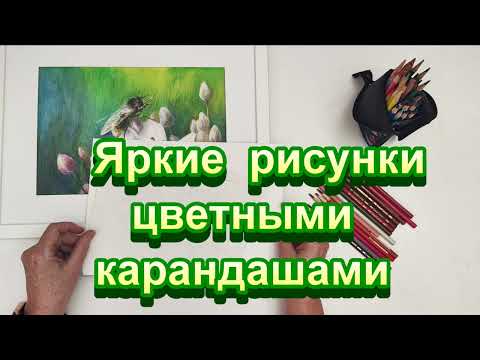Видео: Яркие цветные карандаши