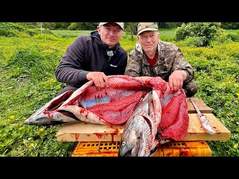 Видео: ЗАЧЕМ ЕЗДЯТ НА КАМЧАТКУ? ГОРЫ КРАСНОЙ ИКРЫ И ОГРОМНЫЙ ЛОСОСЬ