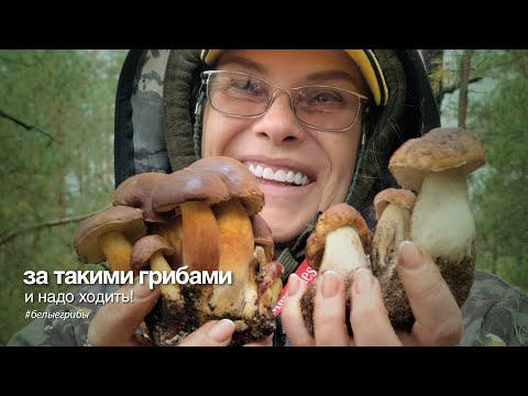 Видео: За такими грибами и надо ходить!