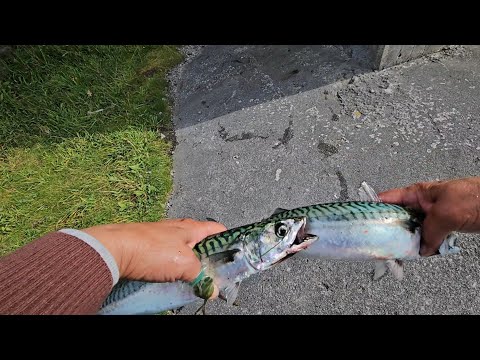 Видео: А вот и ОНА