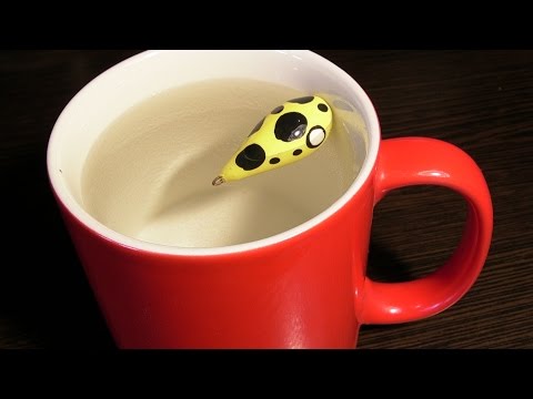 Видео: ПОПЛО - ПОППЕР за 1 минуту !!! / FISHING