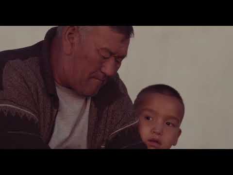 Видео: АДАЙ ЖЫЛҚЫСЫ