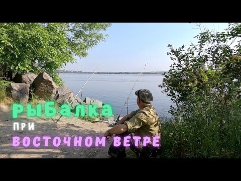 Видео: РЫБАЛКА при сильном ВОСТОЧНОМ ВЕТРЕ - ловля ДУПЛЕТАМИ