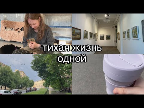 Видео: тихая жизнь одной | рабочие будни, выставки и кошачий приют, неудачные попытки занятий английского