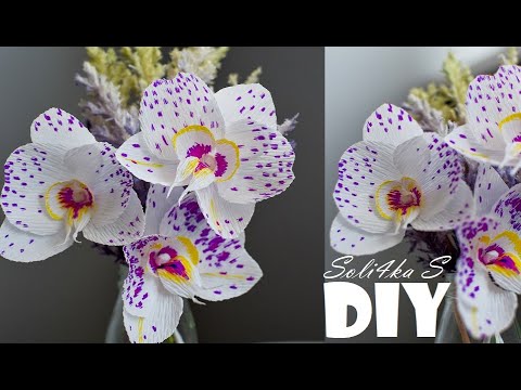 Видео: DIY soli4ka_s Орхідея з гофропаперу/ орхидеи с гофробумаги/crepe paper orchid