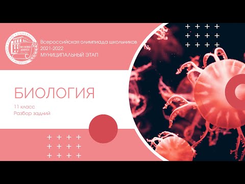 Видео: Муниципальный этап 2021-2022 уч.г. Биология. 11 класс. Разбор заданий