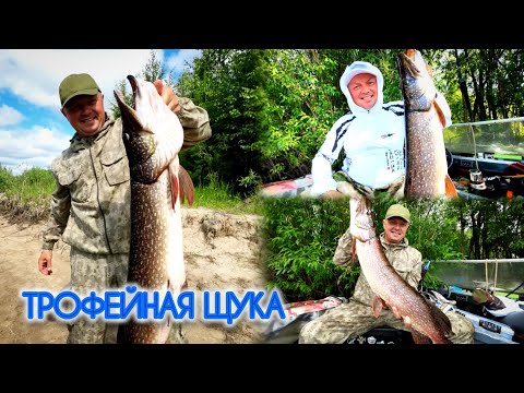 Видео: ЩУКА НА БУЛЮ / The БЭСТ