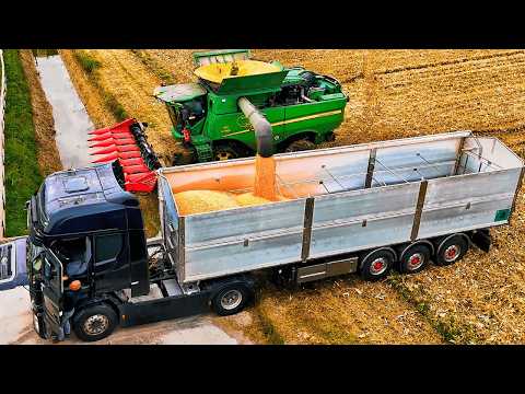 Видео: Сборник CORN HARVEST 2024 ЛУЧШЕЕ ОТ JOHN DEERE NEW HOLLAND CASE IH FENDT