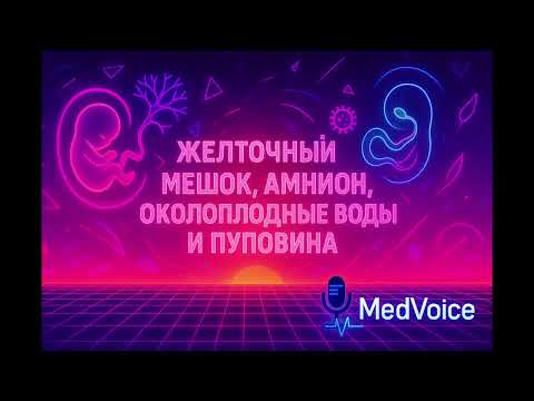 Видео: Желточный мешок, амнион, околоплодные воды и пуповина | Физиология беременности