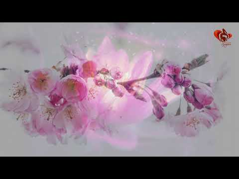 Видео: Медитация "Цветовете на пролетта".  Автор и водещ Люба Комитова / Meditation - Spring flowers, LK