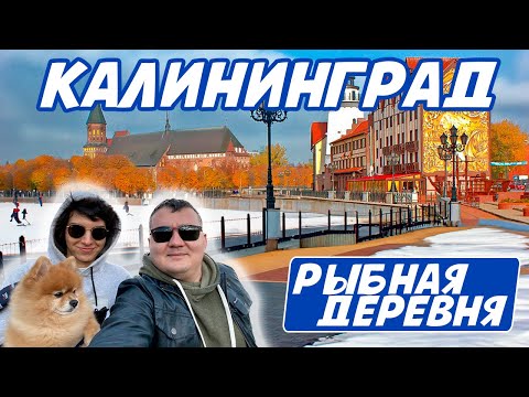Видео: Что делать в Калининграде зимой, ехать или да? | Посмотрели квартиру | Рыбную деревню и остров Канта