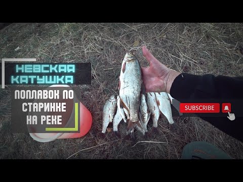 Видео: С поплавком на малой реке, Old school и невская катушка!